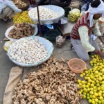Dive into the hustle and bustle of a subzi mandi, where fresh vegetables abound and the air is filled with the delightful aroma of nature. A lively subzi mandi scene in India, featuring vendors selling fresh vegetables like garlic, ginger, and lemons amidst a bustling atmosphere.
