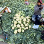 Explore the vibrant Okhla Sabzi Mandi with our lively hostess - an unforgettable culinary journey! Lively visit to Okhla Sabzi Mandi with our vibrant hostess - an authentic Delhi adventure!